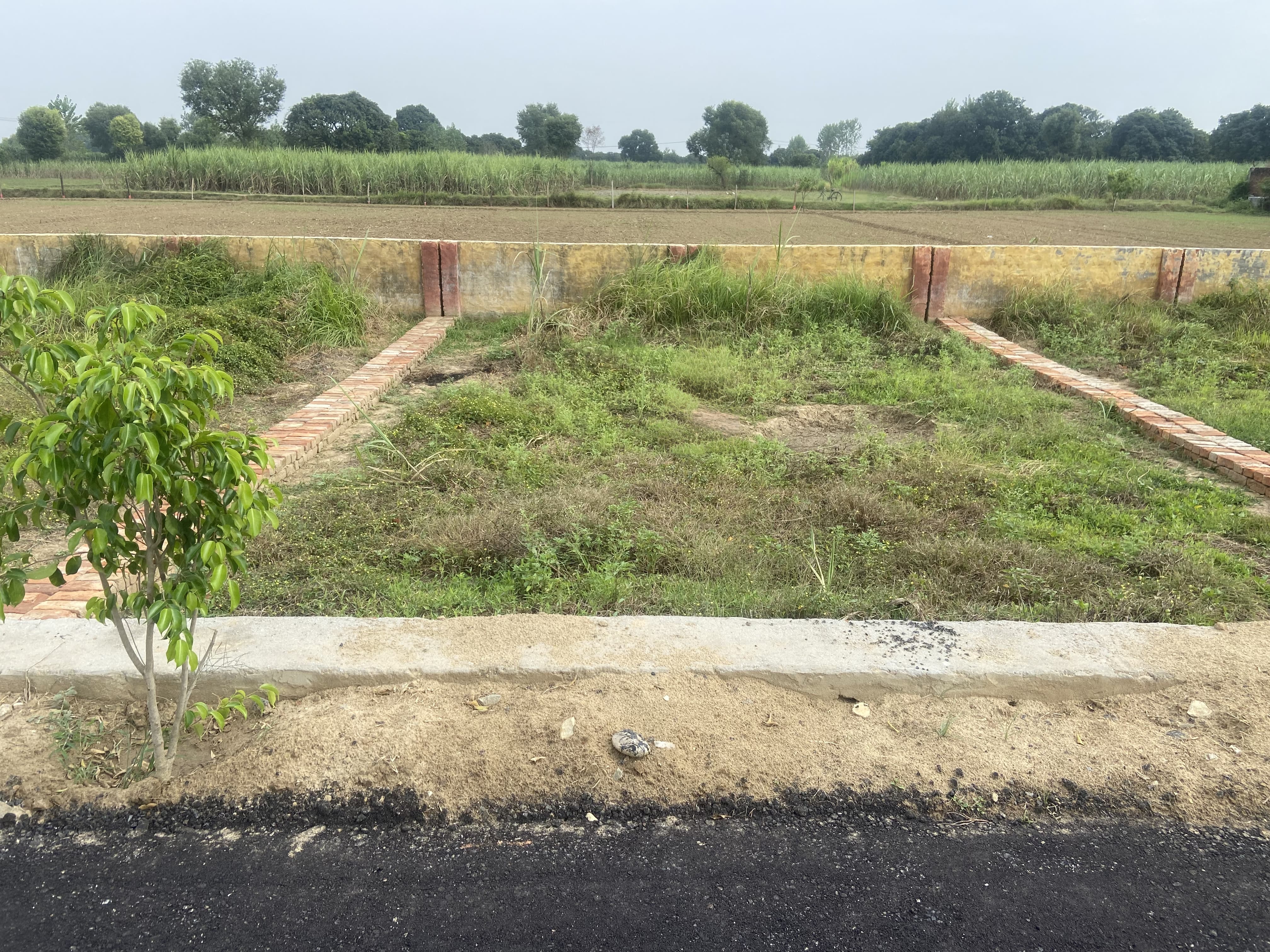 Gayatri Enclave plot no.-11
