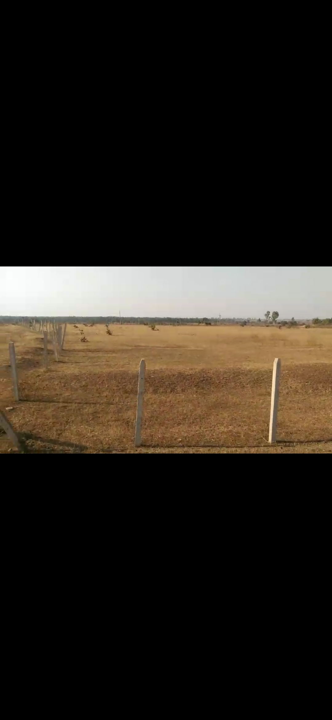 Agricultural Land