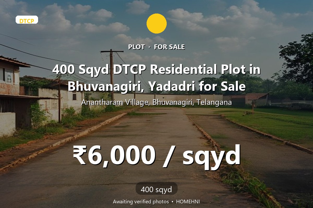 Plot
