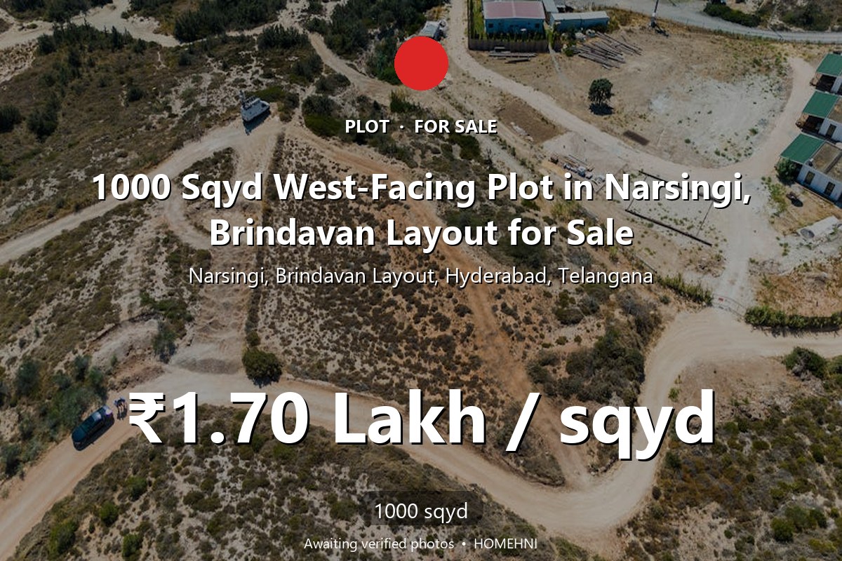 Plot