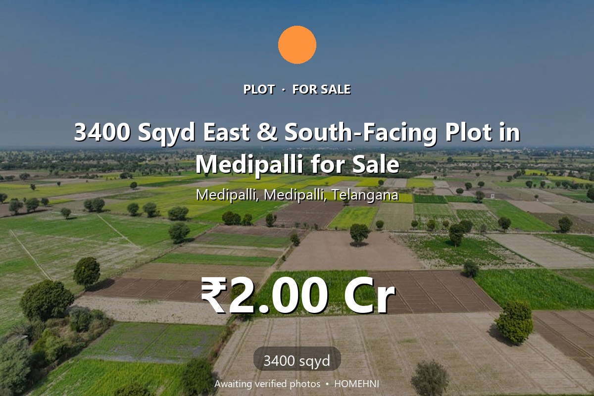 Plot