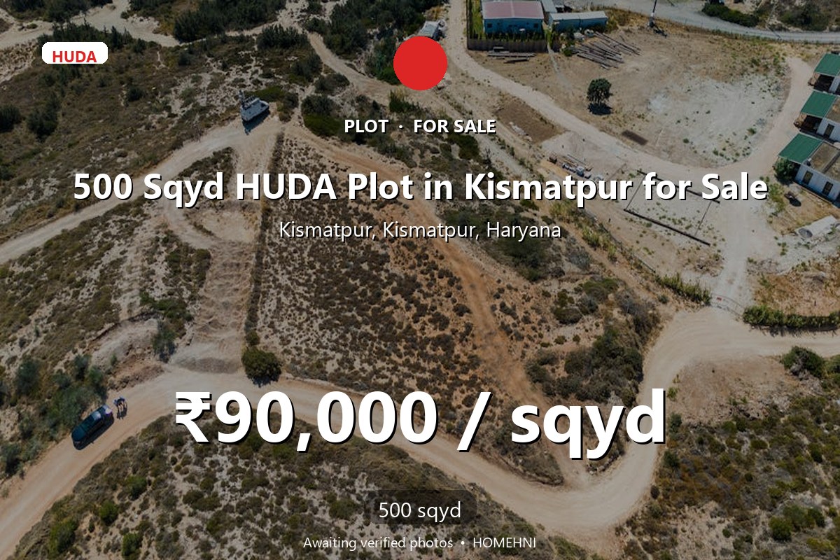Plot