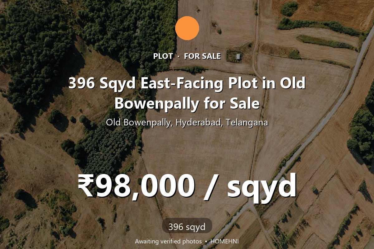Plot