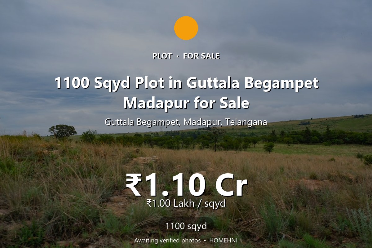 Plot