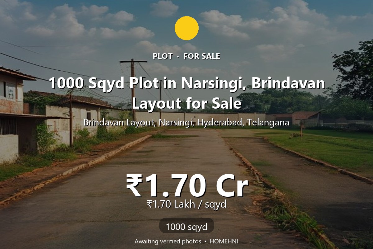 Plot