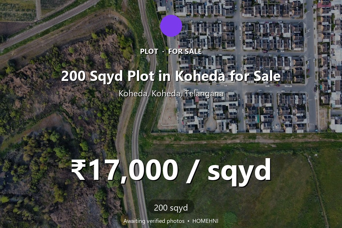 Plot