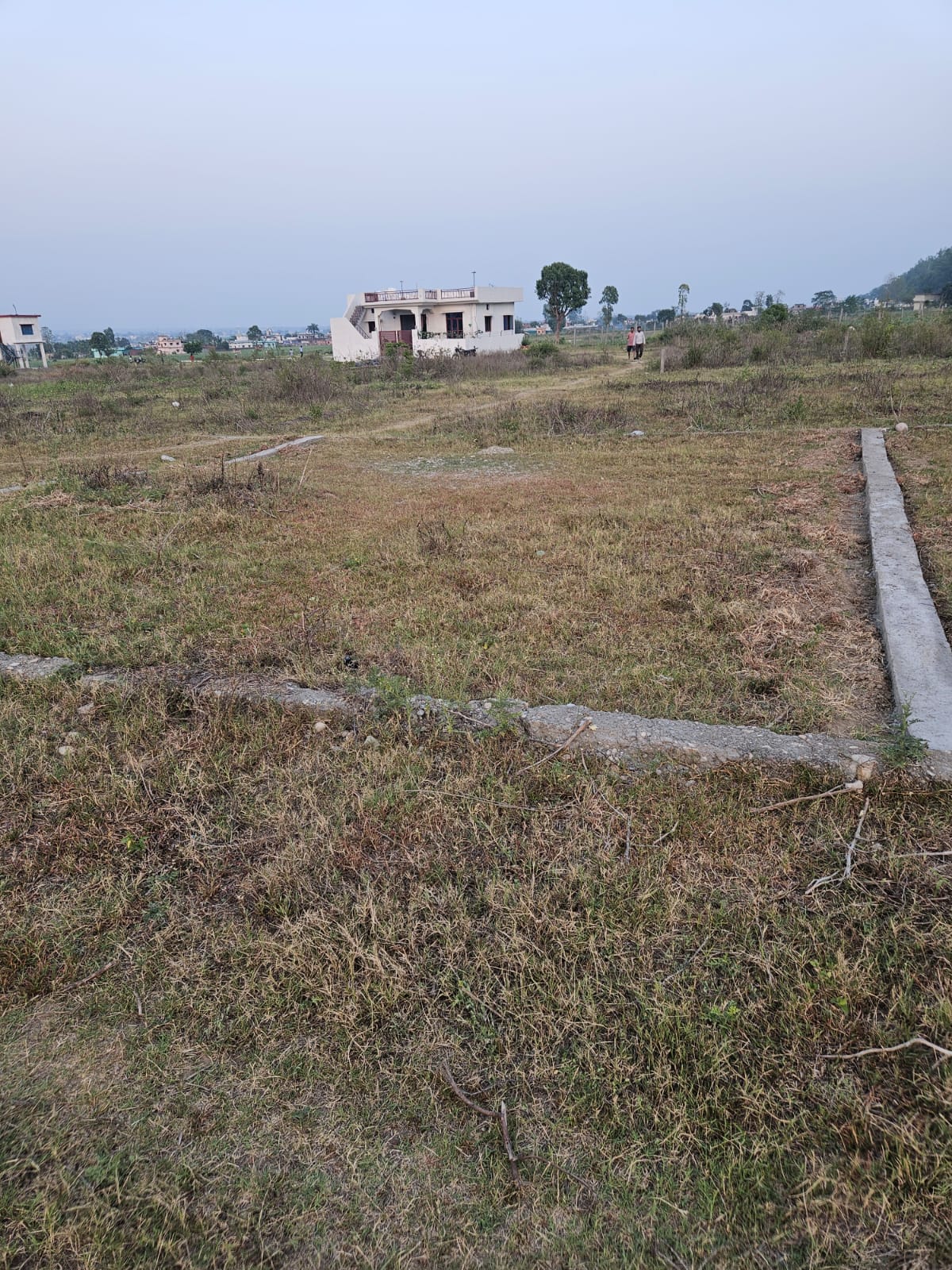 Plot/Agricultural Land