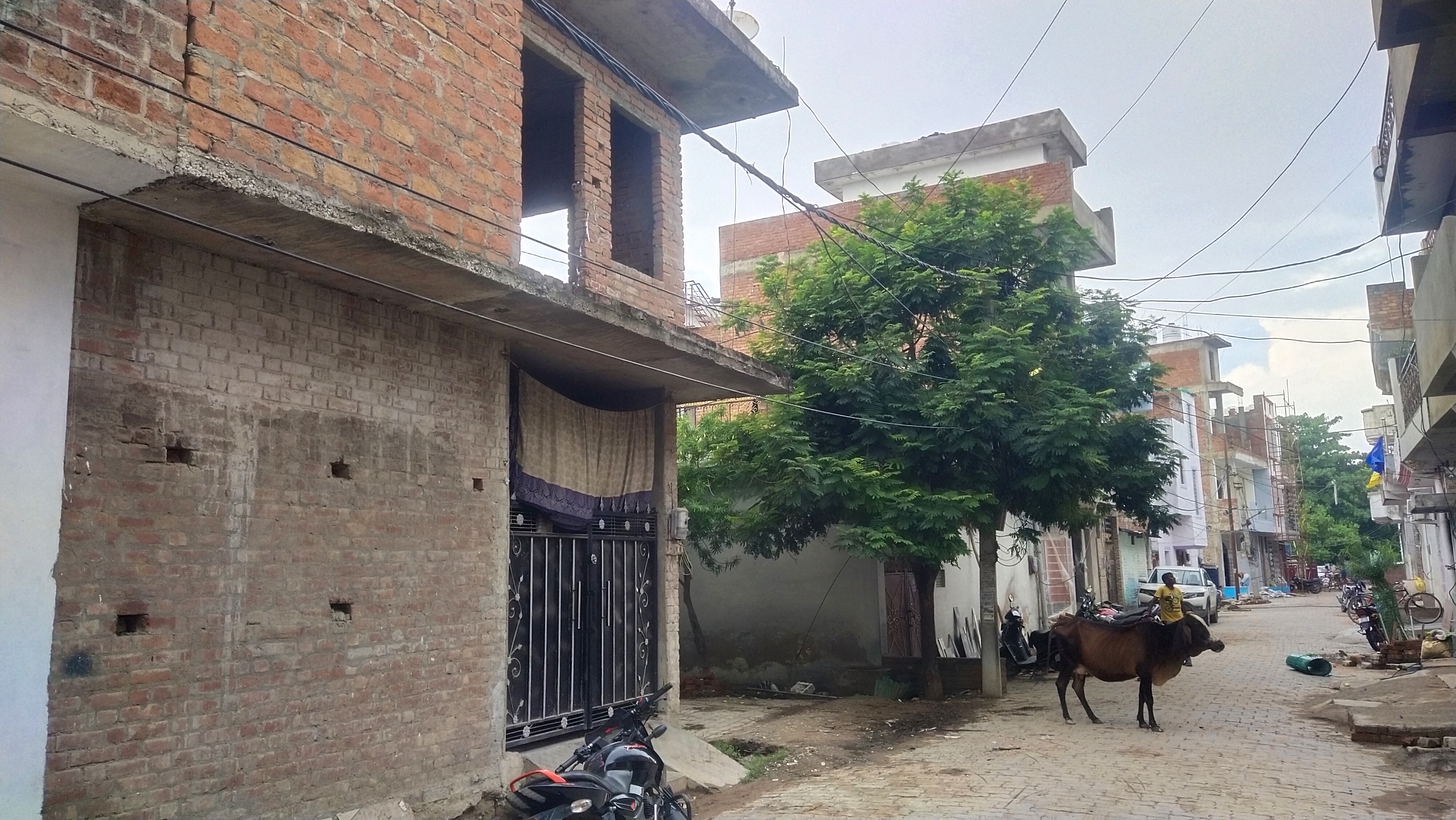 Property Image 6