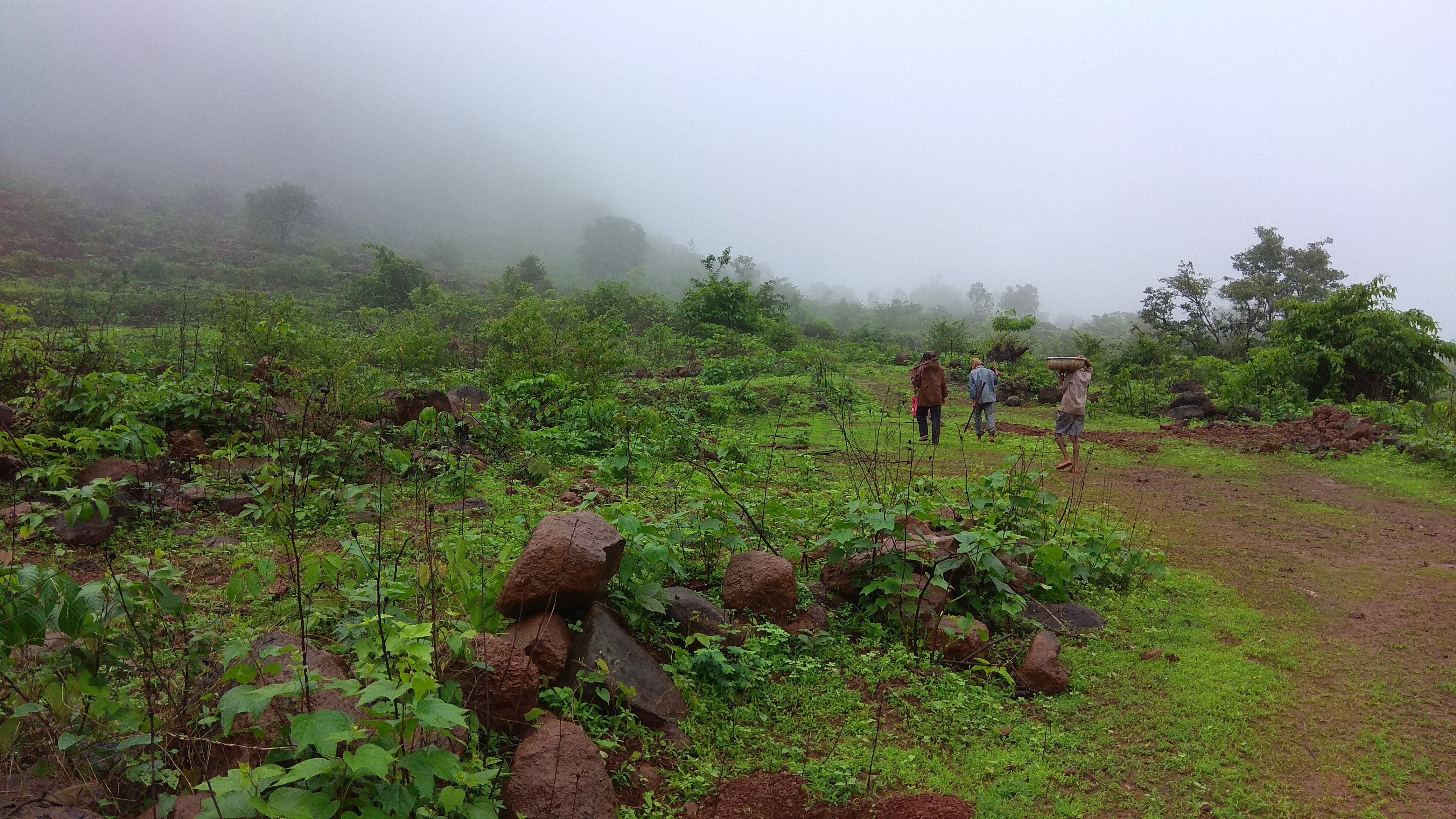 Agricultural Land