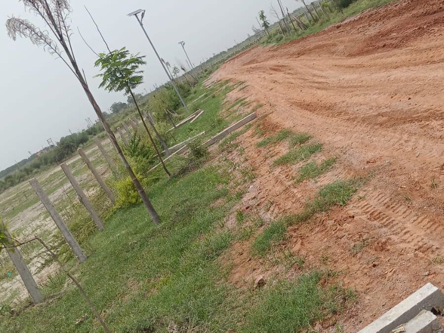 Agricultural Land
