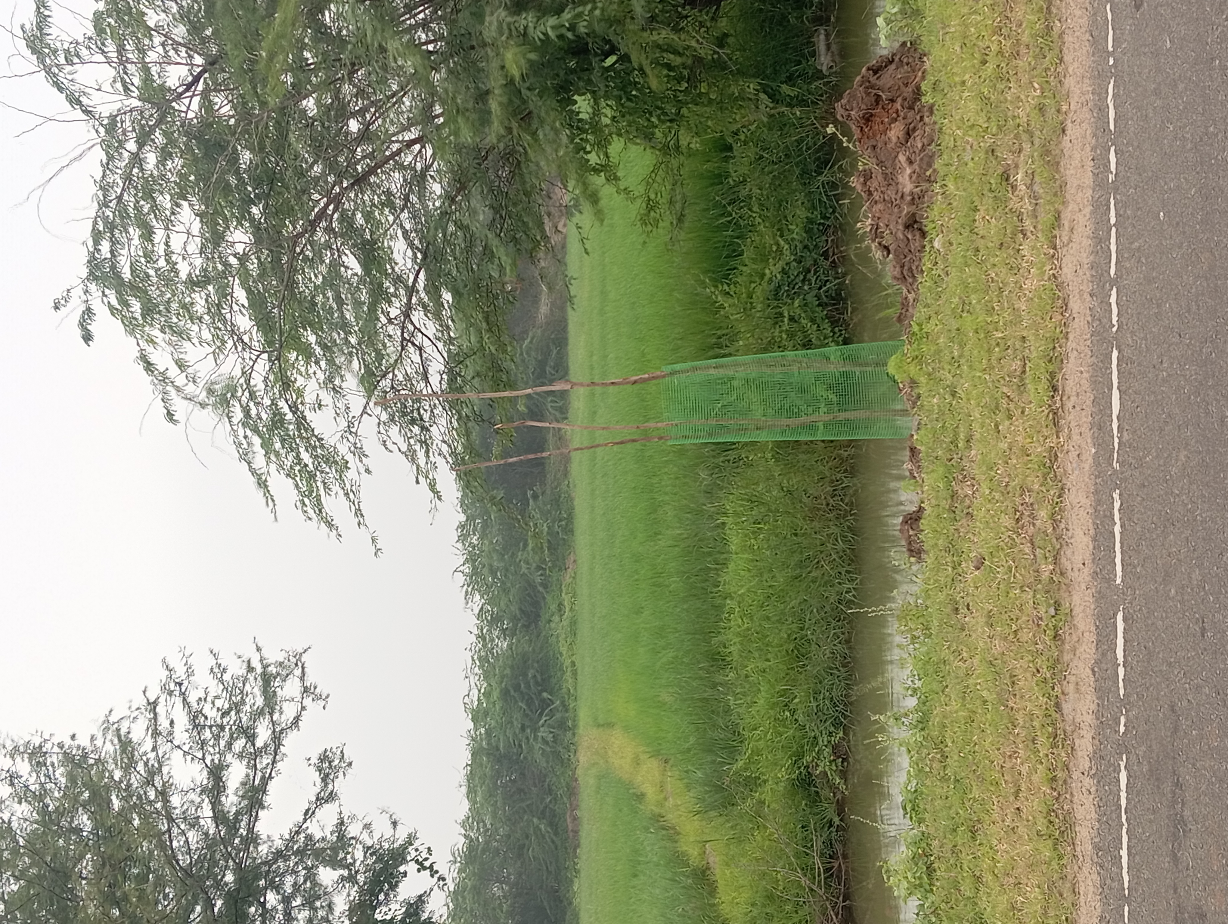 Commercial Land