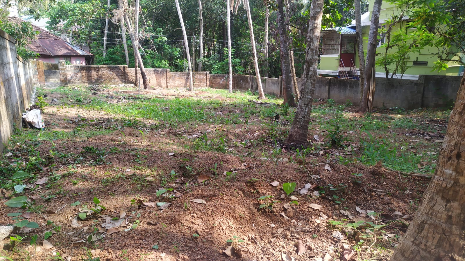 Residential Plot