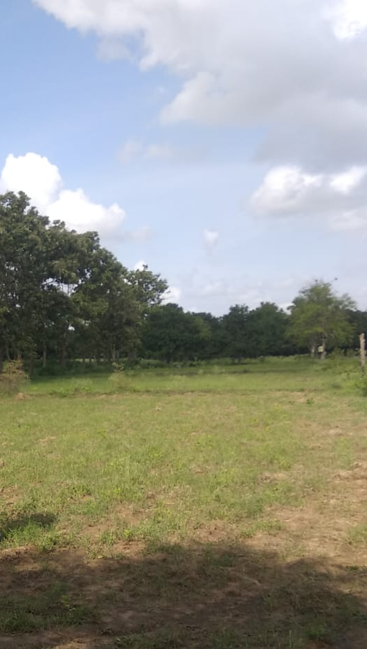 Agricultural Land